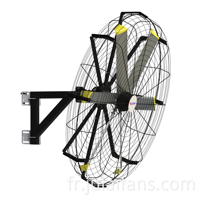 Large Rotatable Wall Fan